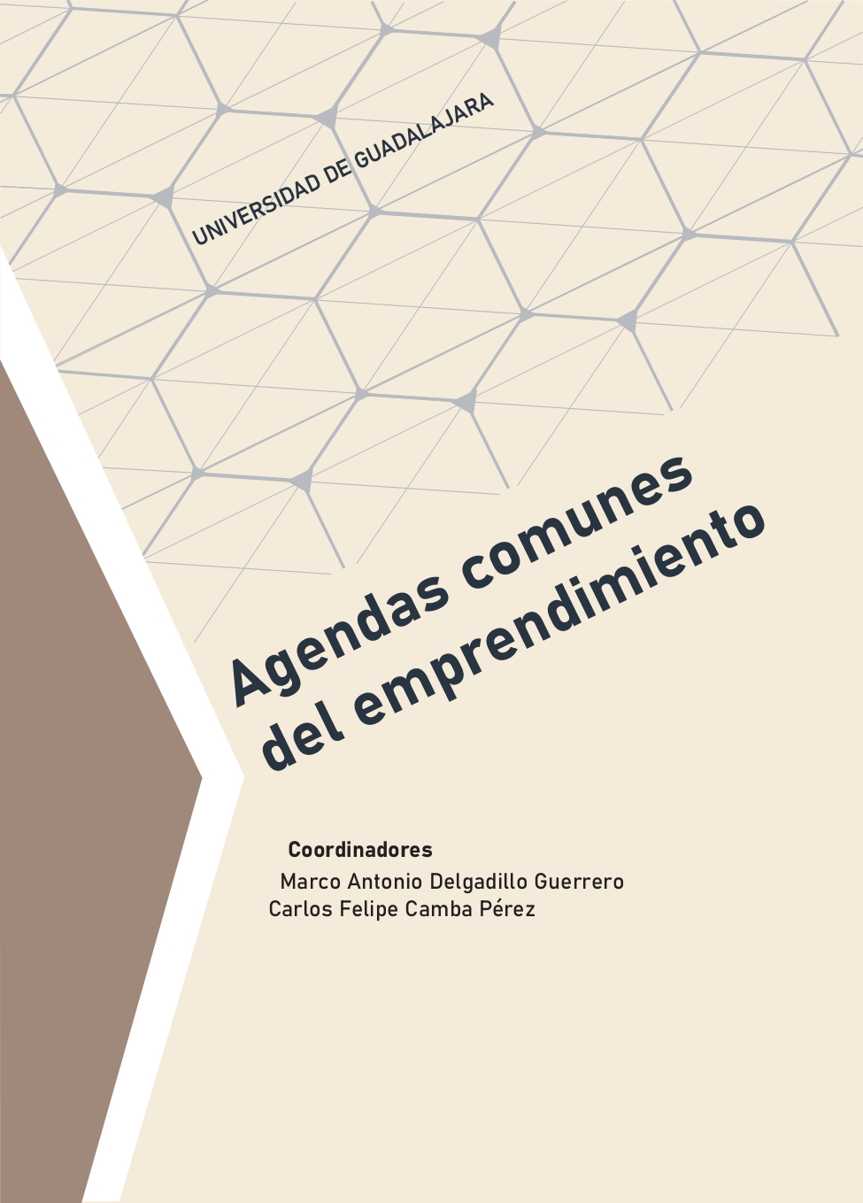 Agendas comunes del emprendimiento