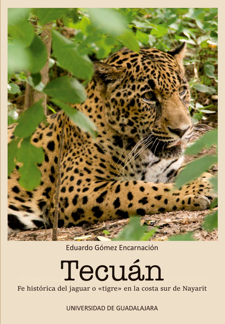 Tecuán. Fe histórica del jaguar o «tigre» en la costa sur de Nayarit<br />
                